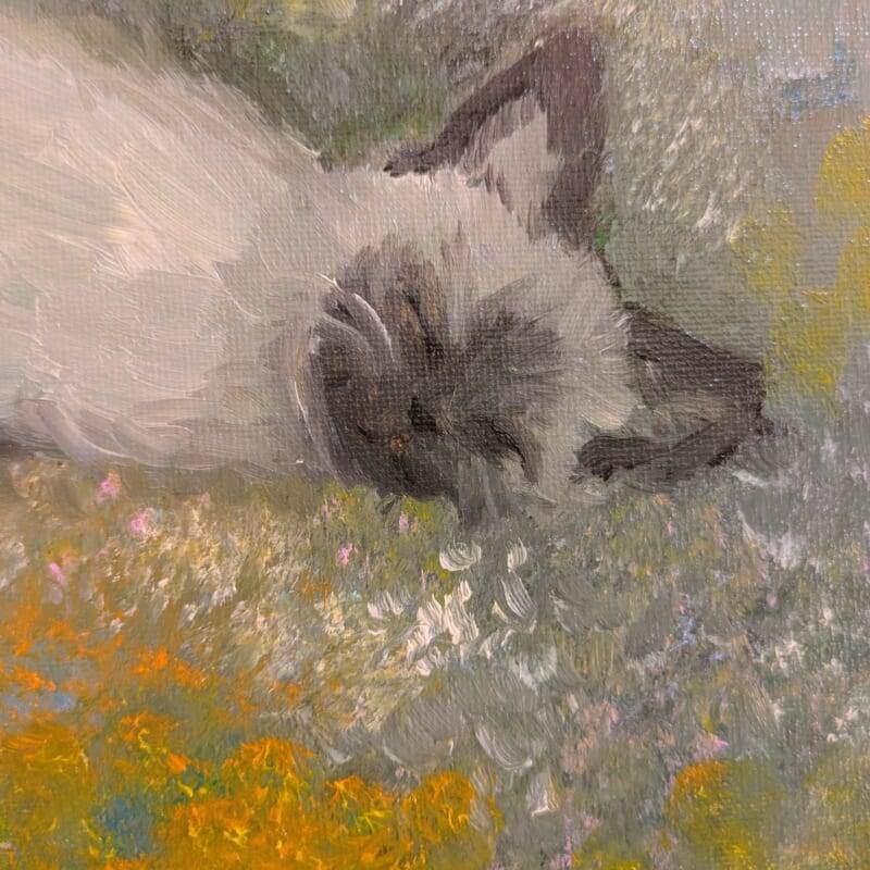 Cat in Meadow